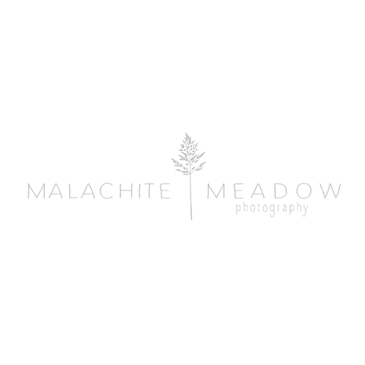 IWorkedWith malachite meadow photography