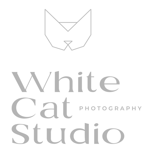 IWorkedWith white cat studio ireland